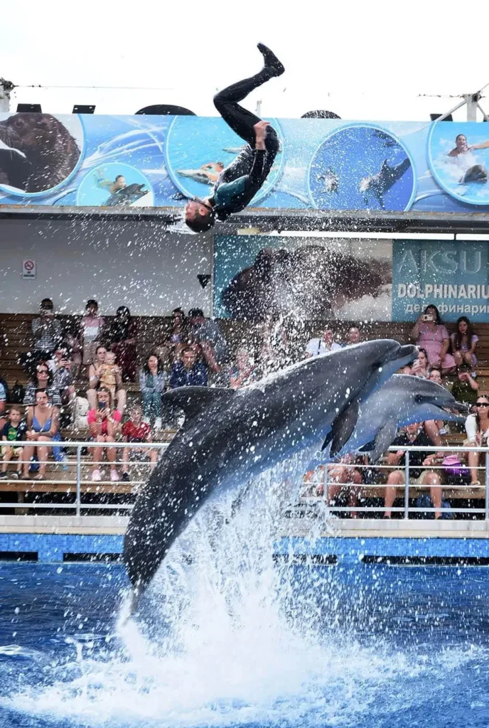 Delfin és fóka show. Transzferek a környék összes szállodájából. Ingyenes terrárium belépővel.